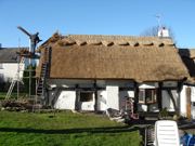 Taking shape